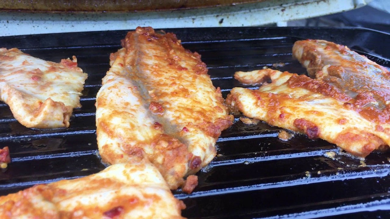 DART CATCH AND COOK!!!!! STRANDED ?!