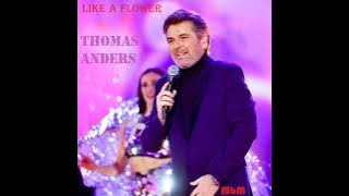 Thomas Anders - Like A Flower Long Version (re-cut by Manayev)