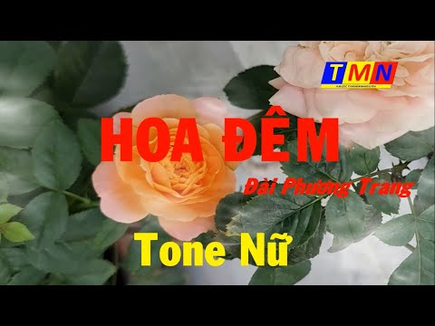 [KARAOKE] Hoa đêm (Đài Phương Trang Pre.75) – Tone Nữ (Bb) – #coverbytmn