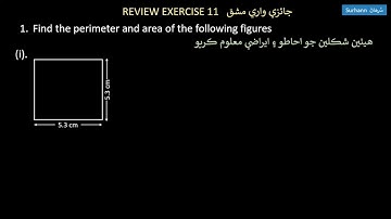 Review Exercise 11. unit 11 maths class six