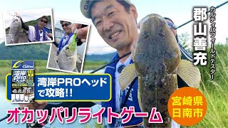 湾岸PROヘッドで攻略！オカッパリライトゲーム screenshot 3