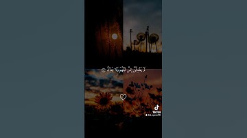 #سورة_الرحمن من الآيه (69)الى الآيه (78)