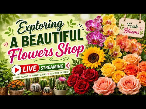 Exploring a Beautiful Flower Shop LIVE Norway Vibes Blooms