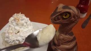 Bob the Raptor - Food Review - Petie's Family Restaurant - Willowick Ohio