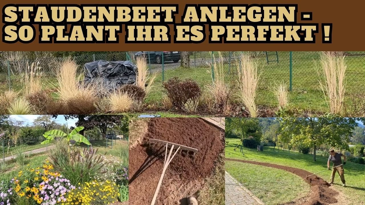 Staudenbeet anlegen mit winterharte Stauden für pralle Sonne So plant
