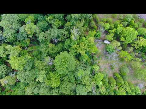 Video Drone CH16 Narrated