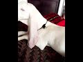 please subscribe to my channel for more videos