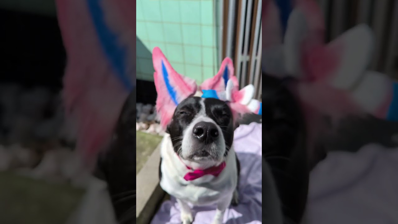 I had to try 😂 King China!! ding ding ding! 