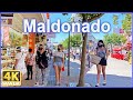 【4K】WALK Maldonado URUGUAY 4k video UY walking Travel vlog