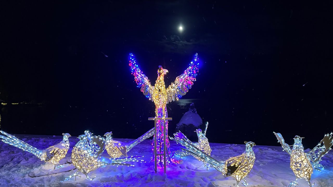 Lichterstadt Eutin 2023/24