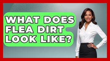 What Does Flea Dirt Look Like? | Insects and Invaders