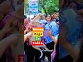 "Why India Failing In Dog Management" | #shorts #dog #india