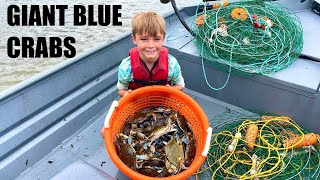 Catching The BIGGEST Crabs We’ve Ever Seen (Catch and Cook) 