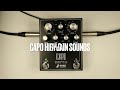 Capo  high gain sounds