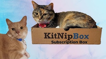 KitNipBox Unboxing || Cat Subscription Box || KitNipBox April 2021