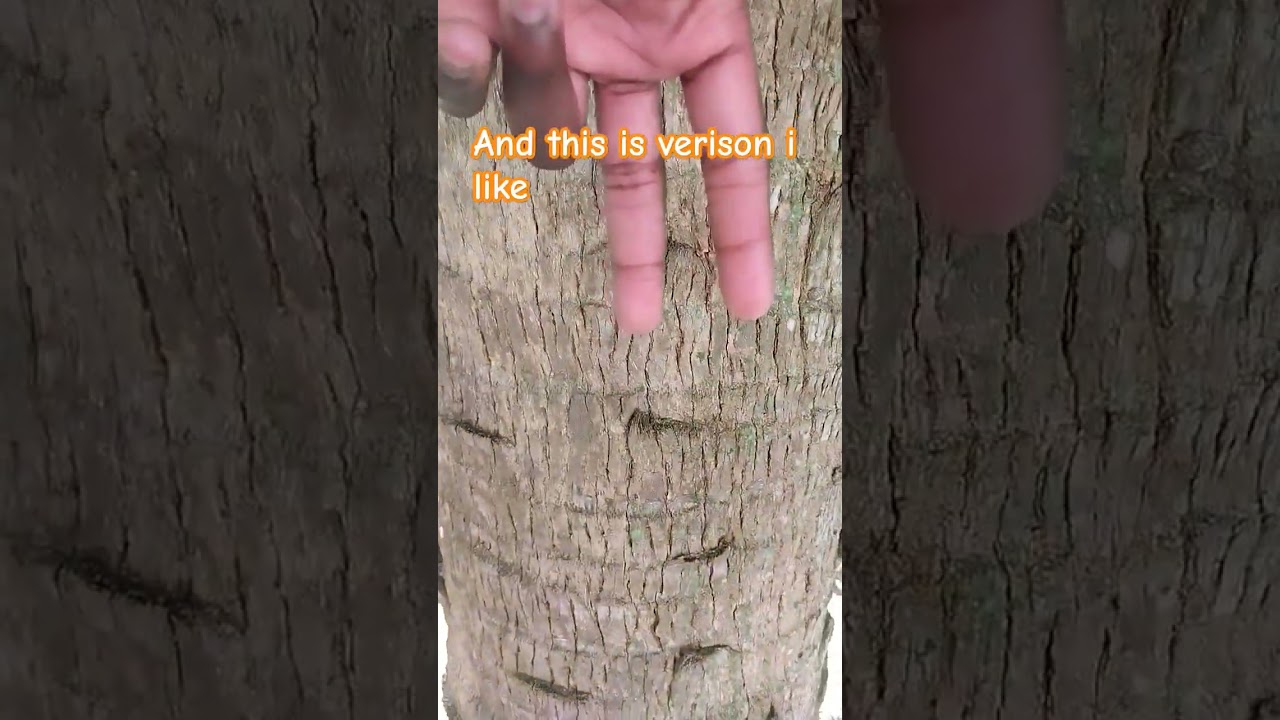 Fire I need your fire to grow my flame channel in mine name