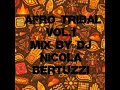 Afro tribal vol1 mix by dj nicola bertuzzi