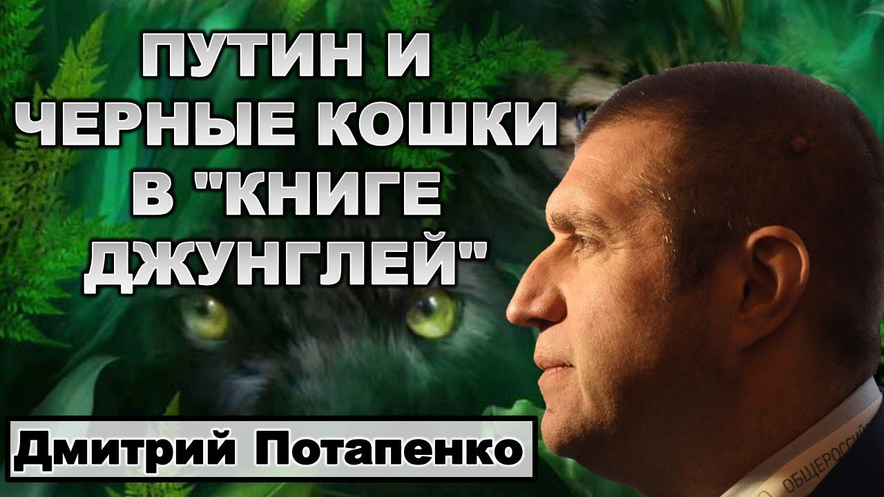 Потапенко: Путин и черные кошки в 