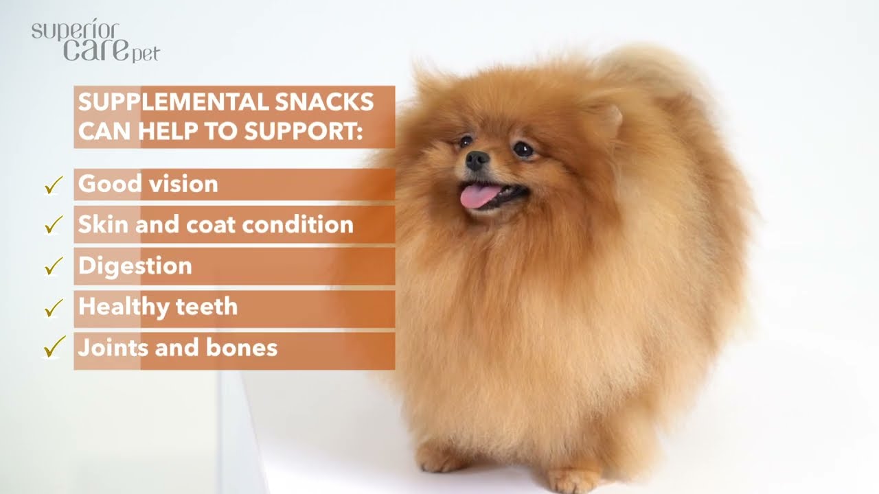 natures protection superior care red dog + free snacks promo