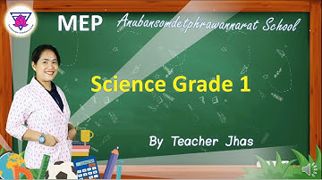 Science Grade 1 "The Science Process Skill" Teacher Jhas