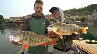 A Pesca dei PERSICI GIGANTI del lago d'Orta - Monster Perch Secrets