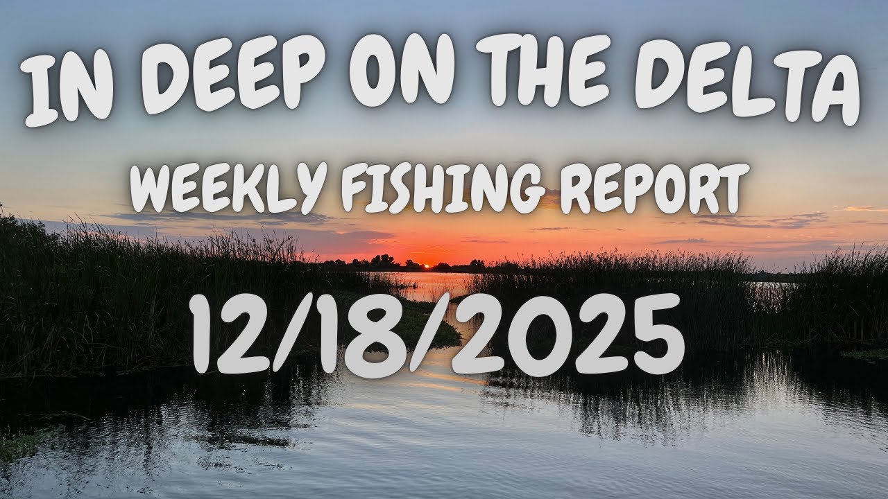 Еженедельный рыболовный отчет In Deep On The Delta за 18.12.2025.