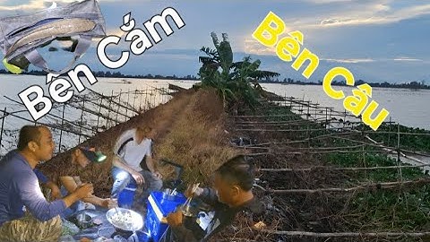 Câu Cá . Cắm Câu. Lai rai cùng ae Giữa trời đông lạnh.@tranchungcuchi 