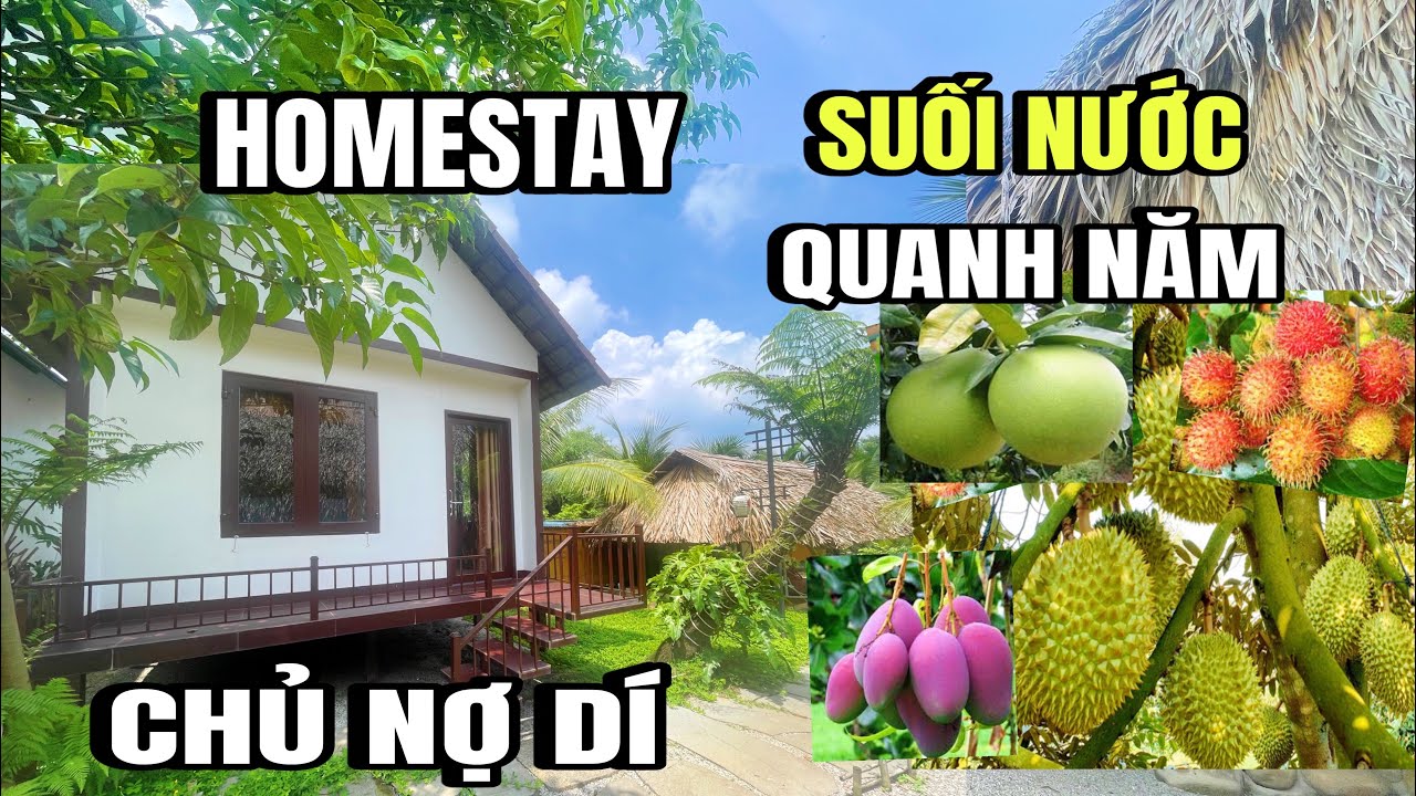 Cô vân Kẹt tiền bán gấp Homestay, suối nước quanh năm, trái cây đủ loại, xuân hiệp Đồng Nai