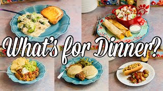 What’s for Dinner | EASY & QUICK Budget Friendly Family Meal Ideas | August 2023
