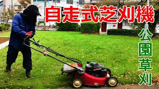 【草刈】自走式芝刈機を使います【公園】
