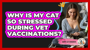 Why Is My Cat So Stressed During Vet Vaccinations? - Happy Cat Handbook