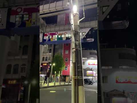 Chiba monorail