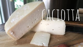 Caciotta- How to make this pressed, fast-aging cheese at home