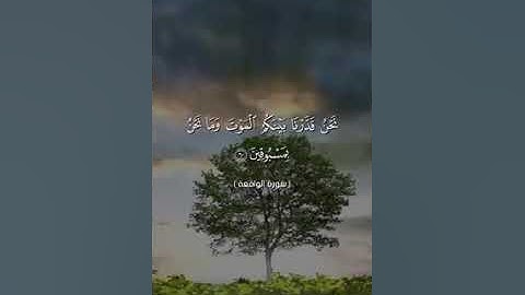 القارئ ابراهيم شرف ابوطالب