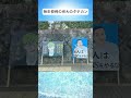 毎年恒例の京大のタテカン#shorts #おすすめ #すごい #面白い