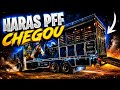 HARAS PFF CHEGOU EM PETROLINA ETAPA DO CIRCUITO BYD DE VAQUEJADA