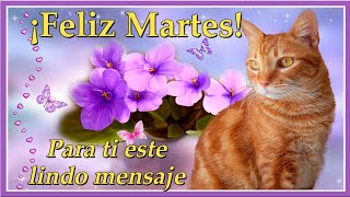 🌷Feliz Martes Dios te bendiga🌷que este bello día este lleno de bendiciones, buenos días ábrelo