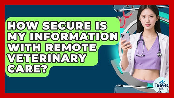 How Secure Is My Information With Remote Veterinary Care? | TeleVet Talk News