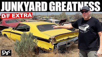 Exploring the LARGEST CLASSIC-CAR JUNKYARD with Freiburger, a D/F Extra