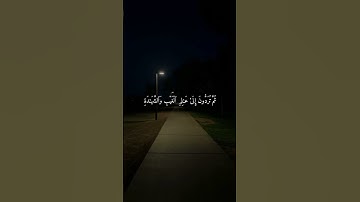 قل إن الموت الذي تفرون منه فإنه ملاقيكم | تلاوة الشيخ ماهر المعيقلي #ماهر_المعيقلي #قرآن #القرآن
