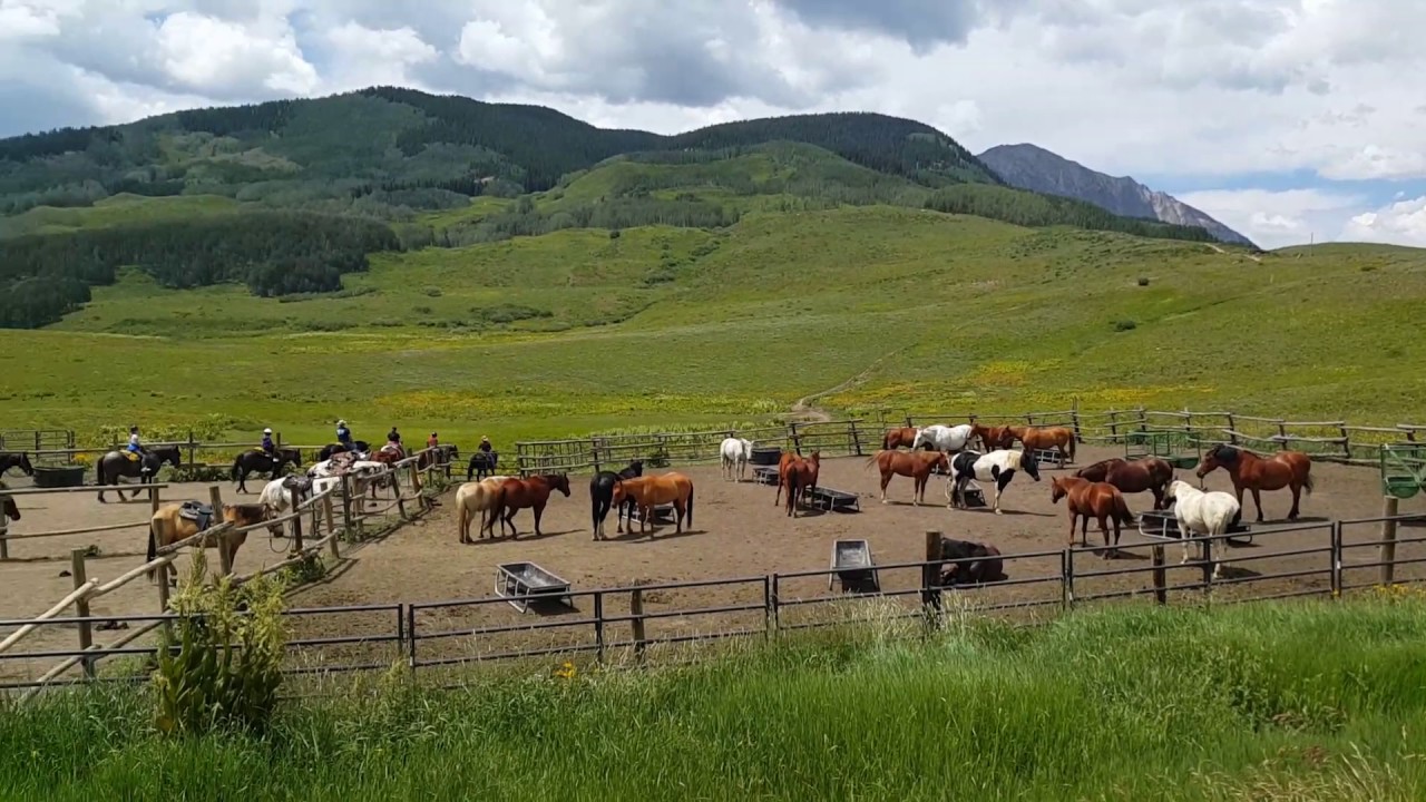 Horse riding Stables in Mount Crested Butte. HD YouTube