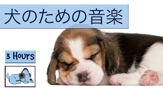 犬の音楽は非常に活発子犬を落ち着かせるために！