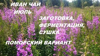 Иван чай  Июль, Поморский вариант