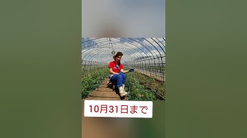 旅立ち予告