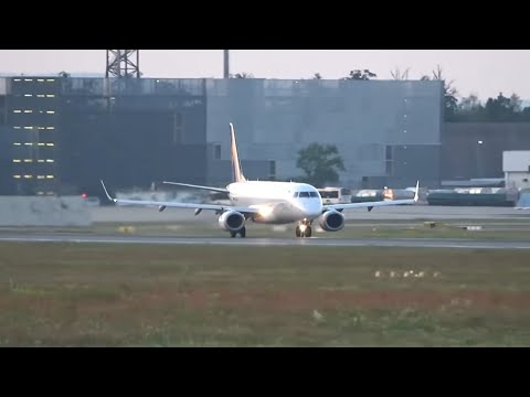 Video: Am Flughafen New Orleans Können Sie Baby-Alligatoren Bei Der Gepäckausgabe Streicheln