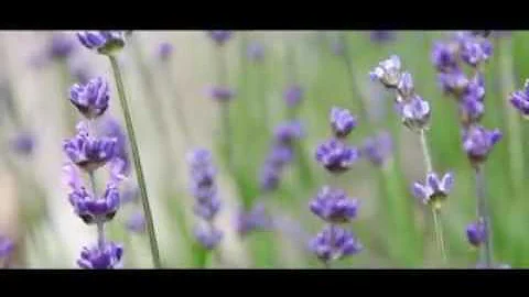 Igisubizo by jeanine uwimana official video