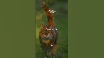 جزء من سورة البروج بصوت القارئ احمد العجمي