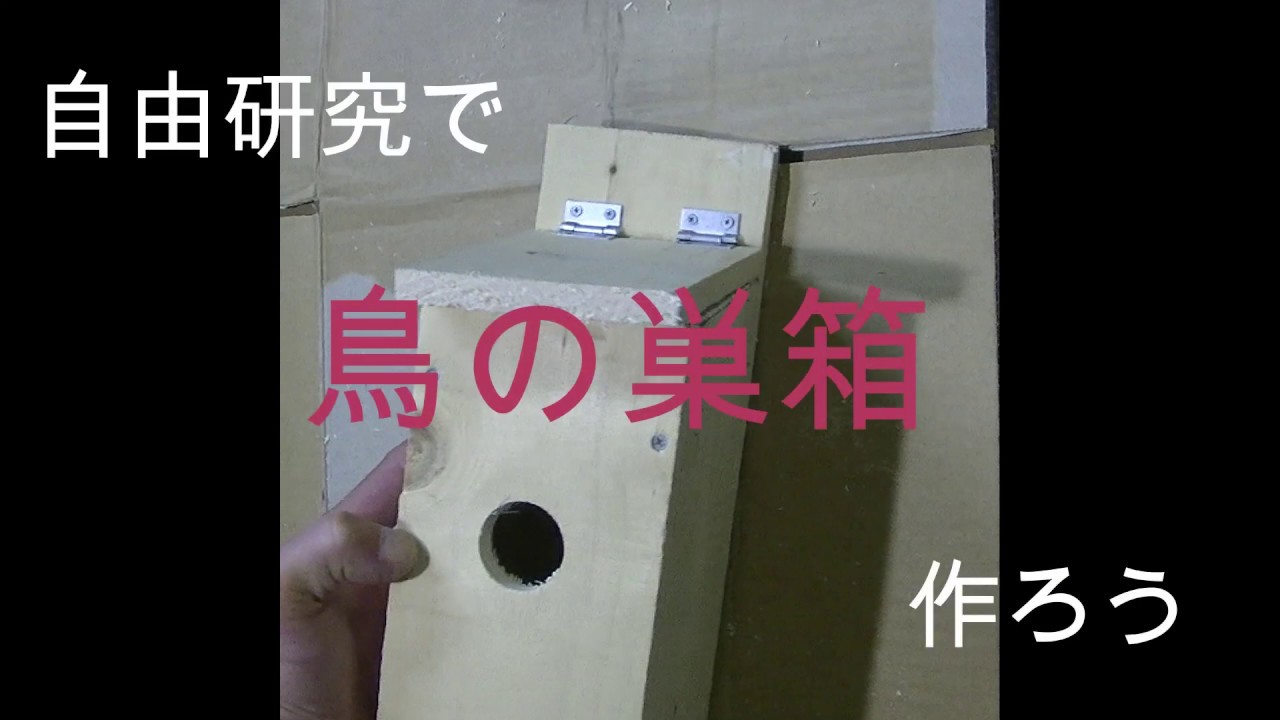【スズメ】自由研究で野鳥の巣箱を作ろう【シジュウカラ】
