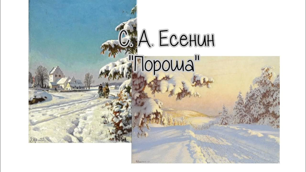 Какая пороша будет завтра. Пороша Есенина. Стихотворение Есенина пороша. Иллюстрация к стихотворению Есенина пороша.