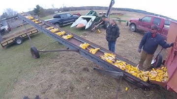 Loading out corn
